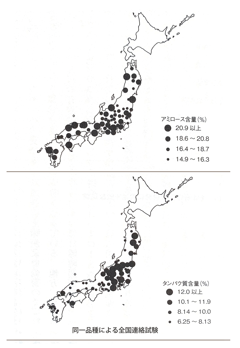 そば語り_タンパク質分布図表