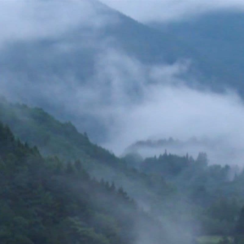 奈川の霧
